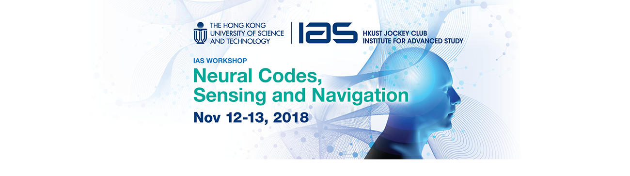 IAS Workshop on Neural Codes, Sensing, and Navigation