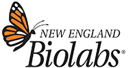 New England Biolabs